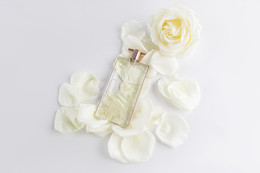 Similar image 21777223