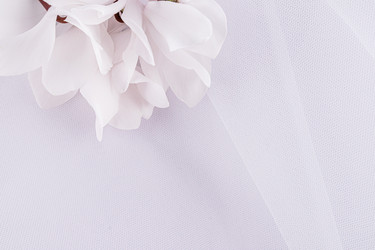 Similar image 21777229