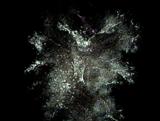 Similar image 21778164