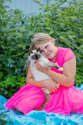 Similar image 21786810