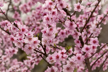 Similar image 21777402