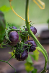 Similar image 21785196