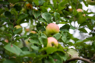 Similar image 21785197