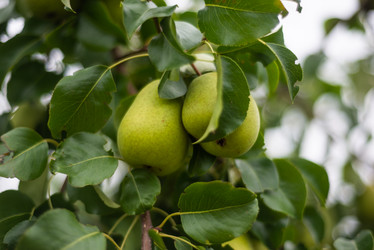 Similar image 21785198