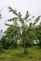 Similar image 21786819