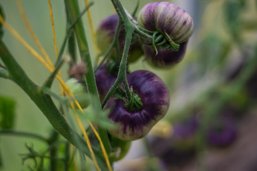 Similar image 21786820