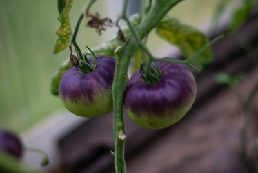 Similar image 21785199