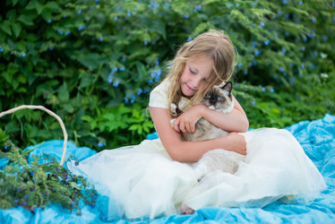 Similar image 21786821