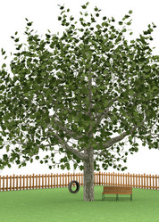 Similar image 21779666