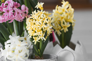 Similar image 21778093