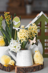 Similar image 21778104