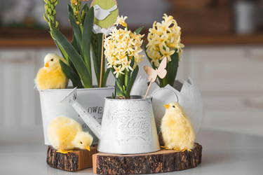 Similar image 21778106