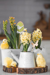 Similar image 21778110