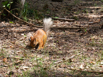 Similar image 21778211