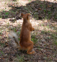 Similar image 21778213