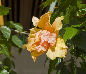 Similar image 21777727