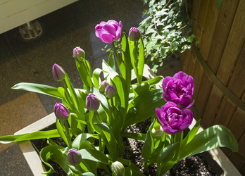 Similar image 21777728