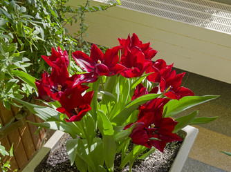 Similar image 21777729