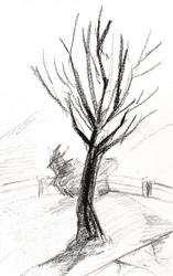 Similar image 21777874