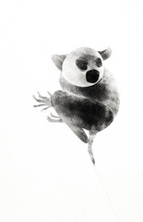 Similar image 21777970