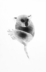 Similar image 21777972