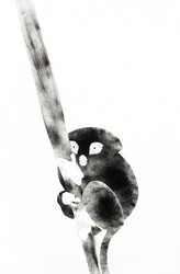 Similar image 21777974