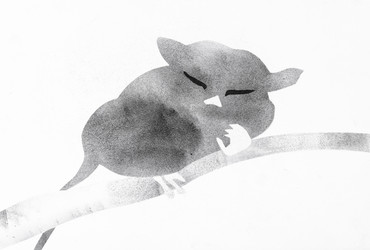 Similar image 21777994