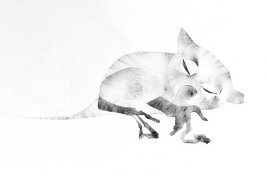 Similar image 21778006