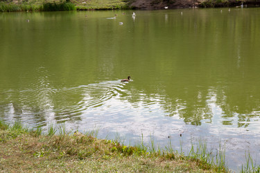 Similar image 21778222