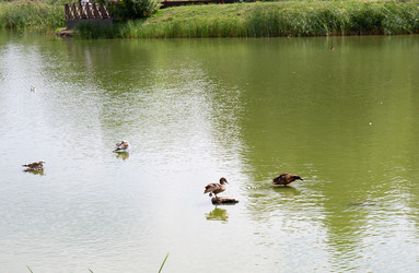 Similar image 21778224