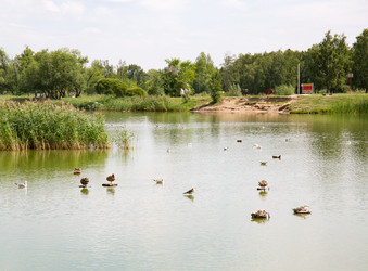 Similar image 21778226