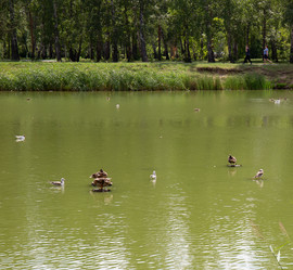 Similar image 21778227