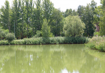 Similar image 21778228