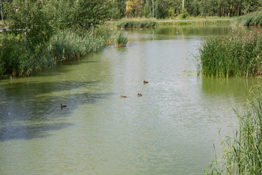 Similar image 21778233