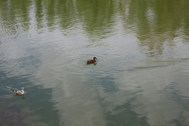 Similar image 21778234