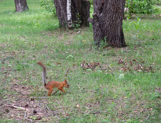 Similar image 21778235