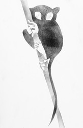 Similar image 21777794