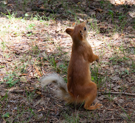 Similar image 21778260