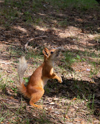 Similar image 21778261