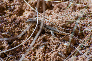 Similar image 21778288