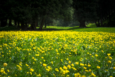 Similar image 21778292