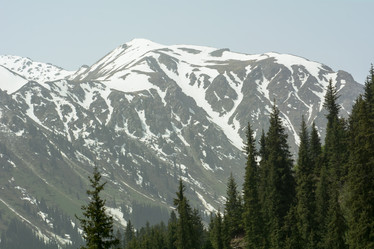 Similar image 21778293