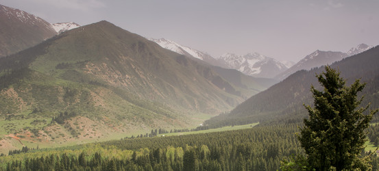 Similar image 21778294