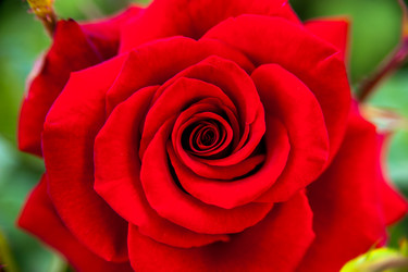 Similar image 21778312