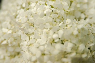 Similar image 21778316