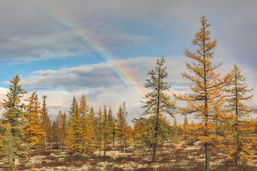 Similar image 21778047