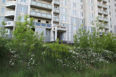 Similar image 21778063