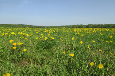 Similar image 21778064