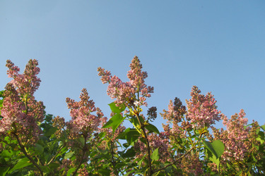 Similar image 21778066