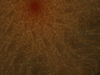 Similar image 21784432